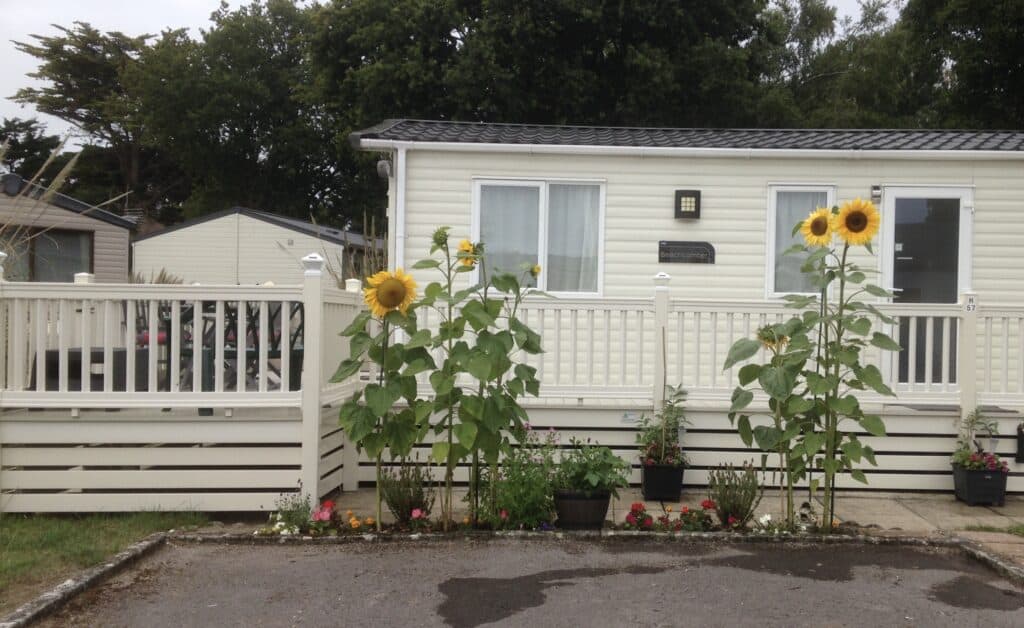 Tall sunflowers grow in front of a white mobile home with a small fenced garden and potted plants. There are trees and another building in the background under a cloudy sky. | Shorefield Caravan